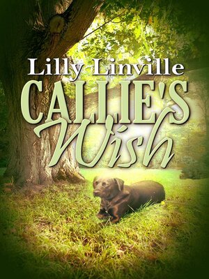 cover image of Callie's Wish